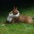 Leslie Wadge's profile image