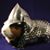 Liz Casey's profile image