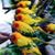 Maryann Ax's profile image