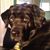 Jack McKelvey's profile image