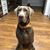 Gregory Soileau's profile image