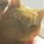Kelly Williams's profile image