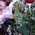 Cindy Hernandez-Sanchez's profile image