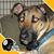 Chazz Slaw's profile image