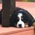 Valerie Kaufman Murphy's profile image