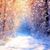 Caryl Stohr's profile image