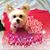 Jeannie Scrafani's profile image