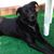 Debbie Gardiner Buttafuoco's profile image