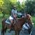 Lavonne Moncrief's profile image