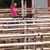 Katelynn Skye Bryant's profile image