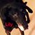 Joycelyn Schindler's profile image