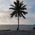 Linda L Dengler Maxwell's profile image