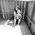 Yesenia Monarrez's profile image