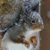 Sheila Peterson's profile image