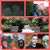 Megan Rutherford's profile image