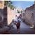 Daniela Soldo's profile image