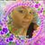 Rosario Acosta's profile image