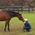 Kimberly Jurgensen's profile image
