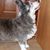 Judith Tobias's profile image