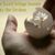 Tam Charp's profile image