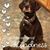 Karen Clark-Rider's profile image