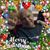 Tommy Grana's profile image