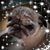 Beth Robbins Nelson's profile image
