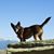 Corrado Lietta's profile image