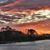 Lois Heflin's profile image