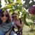 Shlomit Shlicha Madison's profile image