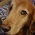 Alicia K Arrington's profile image