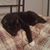 Traci Smith's profile image