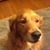 Bill Becker's profile image