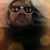 Isaac Taylor's profile image