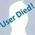 Wendy Churnesky Ellis's profile image