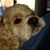 Marisha Knouse's profile image