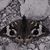 Irma Sides's profile image