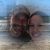 Kim Kelly's profile image