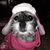Karen Fechter's profile image