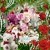 Binita Sarkar's profile image