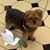Marie-Michelle Hewett's profile image