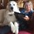Stephanie Walrath Shultz's profile image