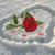 Humberto Salcedo's profile image