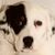 Eric Rafdal's profile image