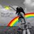 Angelina Navares's profile image