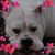 Lucy Blake's profile image