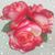 Melissa Smith's profile image