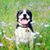 Lucy Littlewood's profile image