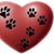 Kimberly Dodds Wright's profile image