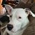 Tammy Crenshaw's profile image